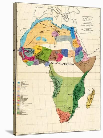 1861, Africa, Africa-null-Stretched Canvas