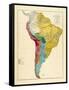 1861, South America-null-Framed Stretched Canvas