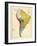 1861, South America-null-Framed Giclee Print