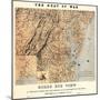 1861,VA - MD - DE - D.C. Bird's Eye View - The Seat of War, District of Columbia,USA-null-Mounted Premium Giclee Print