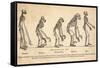 1863 Huxley From Ape To Man, Age-toned-Paul Stewart-Framed Stretched Canvas