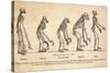1863 Huxley From Ape To Man, Age-toned-Paul Stewart-Stretched Canvas