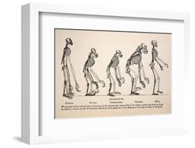 1863 Huxley From Ape To Man Evolution-Stewart Stewart-Framed Photographic Print