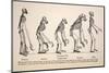 1863 Huxley From Ape To Man Evolution-Stewart Stewart-Mounted Photographic Print