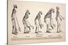 1863 Huxley From Ape To Man Evolution-Stewart Stewart-Stretched Canvas