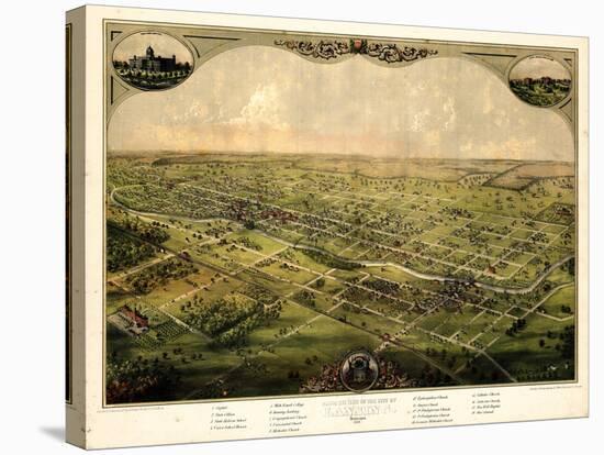 1866, Lansing Bird's Eye View, Michigan, United States-null-Stretched Canvas