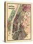 1867, New York & Brooklyn Plan, New York, United States-null-Stretched Canvas