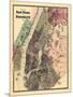 1867, New York & Brooklyn Plan, New York, United States-null-Mounted Giclee Print