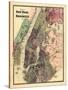 1867, New York & Brooklyn Plan, New York, United States-null-Stretched Canvas