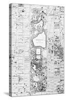 1867, New York City, Central Park Composite, New York, United States-null-Stretched Canvas