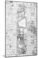1867, New York City, Central Park Composite, New York, United States-null-Mounted Premium Giclee Print
