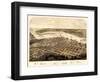 1867, Port Huron - Sarnia - Gratiot Bird's Eye View, Michigan, United States-null-Framed Giclee Print