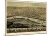 1867, Saginaw Bird's Eye View, Michigan, United States-null-Mounted Giclee Print