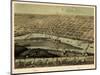 1867, Saginaw Bird's Eye View, Michigan, United States-null-Mounted Premium Giclee Print