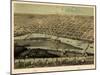 1867, Saginaw Bird's Eye View, Michigan, United States-null-Mounted Giclee Print