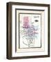 1868, Columbus, Ohio, United States-null-Framed Giclee Print