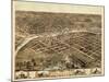 1868, Des Moines Bird's Eye View, Iowa, United States-null-Mounted Giclee Print