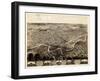 1868, Fort Wayne Bird's Eye View, Indiana, United States-null-Framed Giclee Print