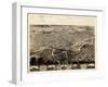 1868, Fort Wayne Bird's Eye View, Indiana, United States-null-Framed Giclee Print