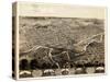 1868, Fort Wayne Bird's Eye View, Indiana, United States-null-Stretched Canvas