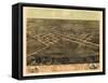 1868, Marion Bird's Eye View, Iowa, United States-null-Framed Stretched Canvas