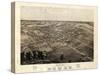 1868, Romeo Bird's Eye View, Michigan, United States-null-Stretched Canvas