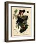 1868, Scotland-null-Framed Giclee Print