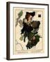 1868, Scotland-null-Framed Giclee Print