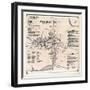 1868, Smyrna, Delaware, United States-null-Framed Giclee Print