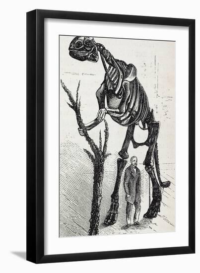 1868 Waterhouse Hawkins & Hadrosaur-Stewart Stewart-Framed Photographic Print