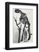 1868 Waterhouse Hawkins & Hadrosaur-Stewart Stewart-Framed Photographic Print