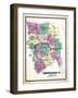 1869, Chittenden County, Vermont, United States-null-Framed Giclee Print