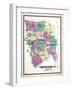 1869, Chittenden County, Vermont, United States-null-Framed Giclee Print