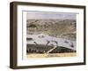 1869, Hannibal Bird's Eye View, Missouri, United States-null-Framed Giclee Print