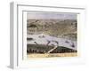 1869, Hannibal Bird's Eye View, Missouri, United States-null-Framed Giclee Print