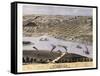 1869, Hannibal Bird's Eye View, Missouri, United States-null-Framed Stretched Canvas
