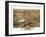 1869, Naperville Bird's Eye View, Illinois, United States-null-Framed Giclee Print