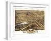 1869, Naperville Bird's Eye View, Illinois, United States-null-Framed Giclee Print