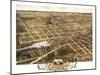 1869, Naperville Bird's Eye View, Illinois, United States-null-Mounted Giclee Print