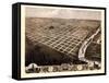 1869, Topeka Bird's Eye View, Kansas, United States-null-Framed Stretched Canvas