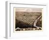 1869, Topeka Bird's Eye View, Kansas, United States-null-Framed Giclee Print