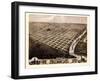 1869, Topeka Bird's Eye View, Kansas, United States-null-Framed Giclee Print