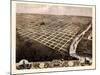 1869, Topeka Bird's Eye View, Kansas, United States-null-Mounted Giclee Print