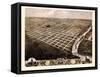 1869, Topeka Bird's Eye View, Kansas, United States-null-Framed Stretched Canvas