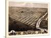 1869, Topeka Bird's Eye View, Kansas, United States-null-Stretched Canvas