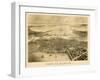 1870, Boston Bird's Eye View on July 4th, Massachusetts, United States-null-Framed Giclee Print