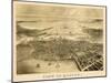 1870, Boston Bird's Eye View on July 4th, Massachusetts, United States-null-Mounted Giclee Print