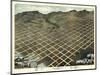 1870, Salt Lake City Bird's Eye View, Utah, United States-null-Mounted Giclee Print