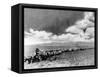 1870s-1880s Montage of Covered Wagons Crossing the American Plains-null-Framed Stretched Canvas