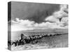 1870s-1880s Montage of Covered Wagons Crossing the American Plains-null-Stretched Canvas